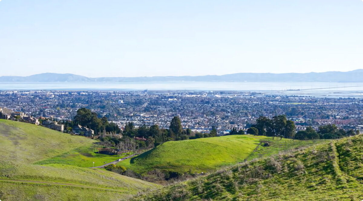Nosso inventário inclui uma ampla variedade de veículos.